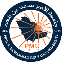 Prince Mohammad bin Fahad University